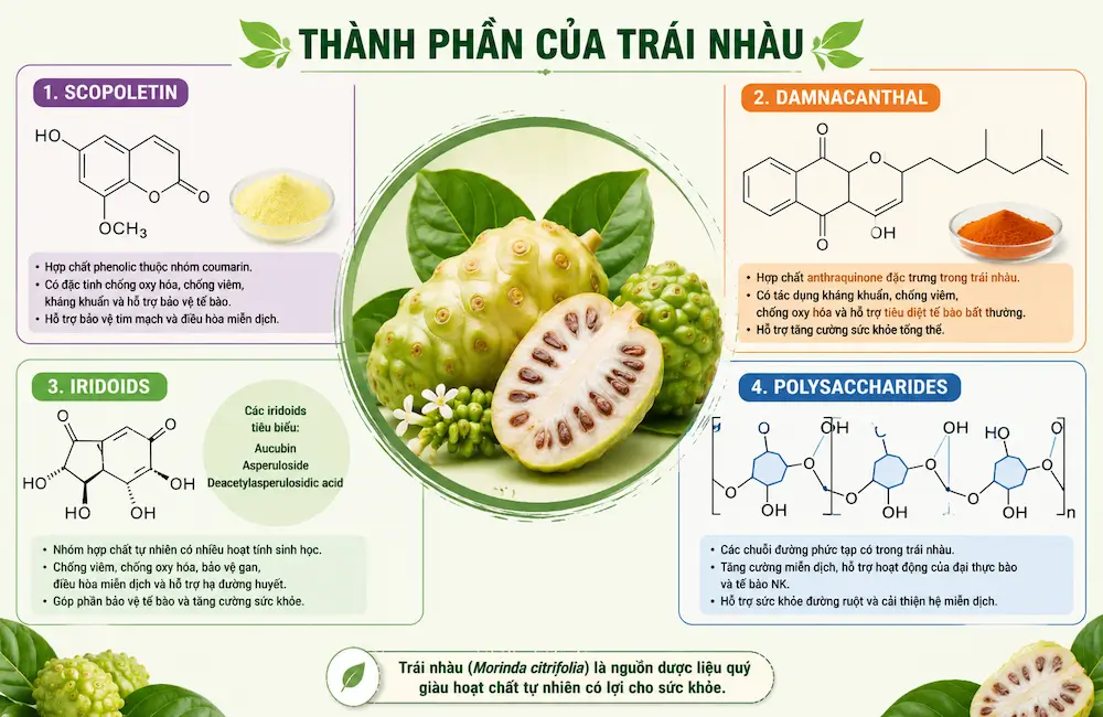 hoạt chất có trong trái nhàu