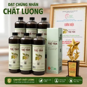 Combo 6 Chai Nước Cốt Nhàu 1000ml