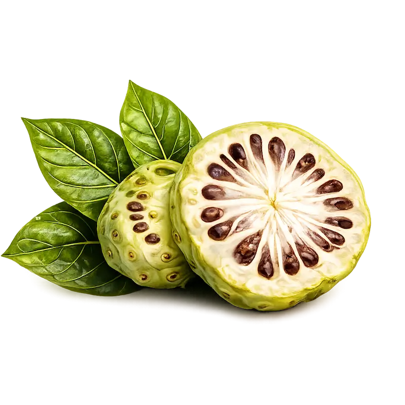 Tăng sức đề kháng