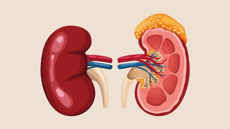 tác dụng phụ của nước cốt nhàu